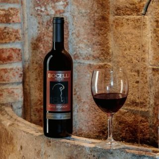 Elegantní jednoodrůdové víno Terre di Sandro, ideální k dlouho zrajícím sýrům či grilovanému hovězímu masu. #vino #wine...